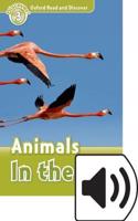 Oxford Read and Discover: Level 4: Animals in the Air Audio Pack: We have recently checked all of our Graded Readers against the latest CEFR standards to give each book an accurate language level description for le(Oxford Read and Discover)