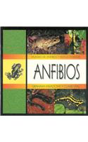 Anfibios: (Dominie Marine Life Young Readers)