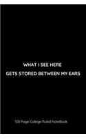 What I See Here Gets Stored Between My Ears