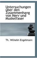 Untersuchungen Uber Den Zusammenhang Von Nerv Und Muskelfaser