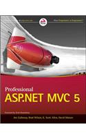 Professional ASP.NET MVC 5