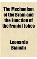 The Mechanism of the Brain and the Function of the Frontal Lobes