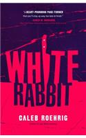 White Rabbit