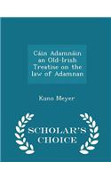 Cain Adamnain an Old-Irish Treatise on the Law of Adamnan - Scholar's Choice Edition