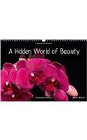 A Hidden World of Beauty 2017