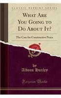 What Are You Going to Do about It?: The Case for Constructive Peace (Classic Reprint)(English)