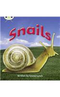 Bug Club Phonics Non Fiction Year 1 Phase 4 Set 12 Snails