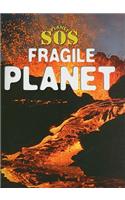 Fragile Planet