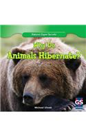 Why Do Animals Hibernate?