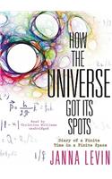 How the Universe Got Its Spots