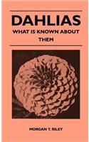 Dahlias - What Is Known About Them
