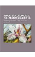 Reports of Geological Explorations During 18 -: (English)