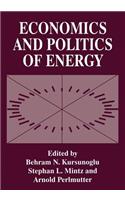 Economics and Politics of Energy