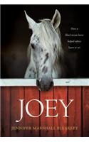 Joey: How a Blind Rescue Horse Helped Others Learn to See