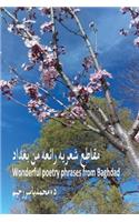Wonderful Poetry Phrases from Baghdad