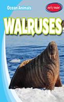 Walruses