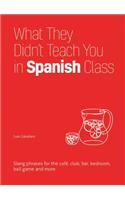 What They Didn't Teach You in Spanish Class: Slang Phrases for the Cafe, Club, Bar, Bedroom, Ball Game and More