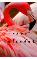 2020 Flamingo Calendar Planner Organizer