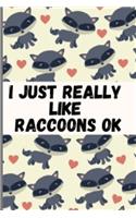 I Just Really Like Raccoons Ok