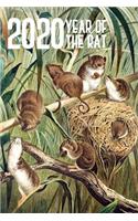 2020 Year Of The Rat