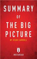 Summary of The Big Picture: by Sean Carroll Includes Analysis