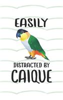 Easily Distracted By Caique Notebook Journal