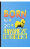 Born to Pet Havanese Forced to Work