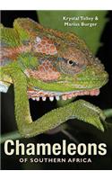 Chameleons of Southern Africa