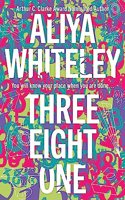 Three Eight One: An Interdisciplinary Guide