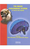 The Brain Cholinergic System