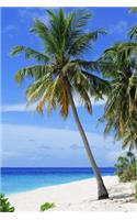 A Beautiful Beach in Tahiti Journal