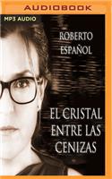 El Cristal Entre Las Cenizas