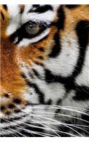 Tiger Notebook