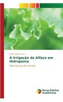 A Irrigação da Alface em Hidroponia