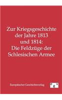 Zur Kriegsgeschichte der Jahre 1813 und 1814: Die Feldzüge der Schlesischen Armee