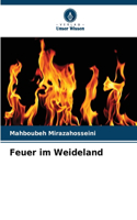 Feuer im Weideland