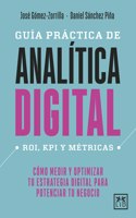 Guia Practica de Analitica Digital