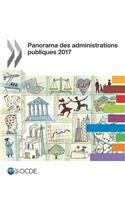 Panorama Des Administrations Publiques 2017: (Panorama Des Administrations Publiques)