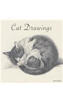Cat Drawings