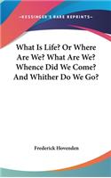 What Is Life? Or Where Are We? What Are We? Whence Did We Come? And Whither Do We Go?