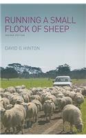 Running a Small Flock of Sheep