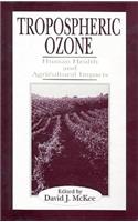 Tropospheric Ozone