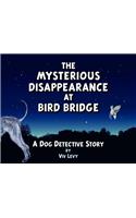 Mysterious Disappearance at Bird Bridge