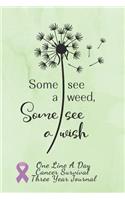 Some See A Weed Cancer Survival Notebook One Line A Day Three Year Journal