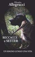 Beccacce E Setter