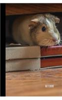 Guinea Pig Notebook