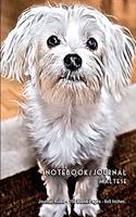 Notebook/Journal Maltese: Journal Ruled - 150 Blank Pages - 6x9 Inches