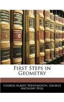 First Steps in Geometry