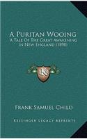 Puritan Wooing: A Tale Of The Great Awakening In New England (1898)