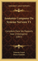 Anatomie Comparee Du Systeme Nerveux V1